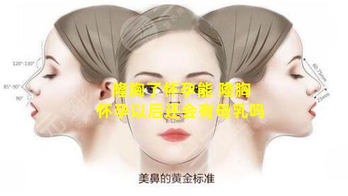 隆胸了怀孕能 隆胸怀孕以后还会有母乳吗